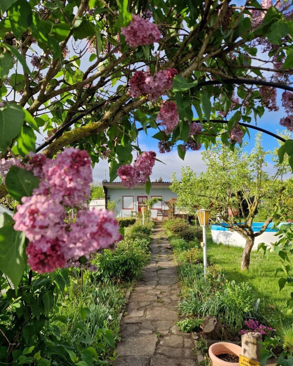 Gartenanlage mit Weg und Blüten